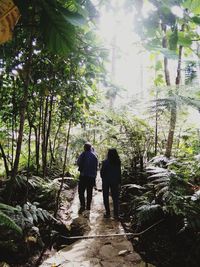 Rear view of people walking on street amidst trees in forest