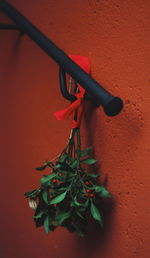 High angle view of potted plant against wall