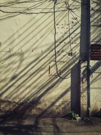 Shadow of plant on wall
