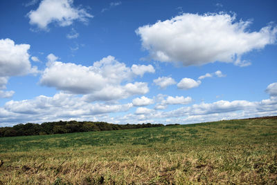 Scenic view of field against sky