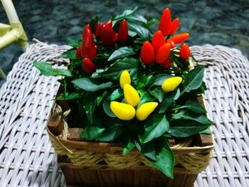 Close-up of flowers in basket