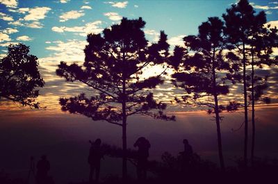 Silhouette of trees against sky at sunset