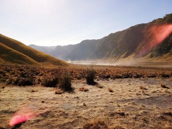 Scenic view of desert against sky