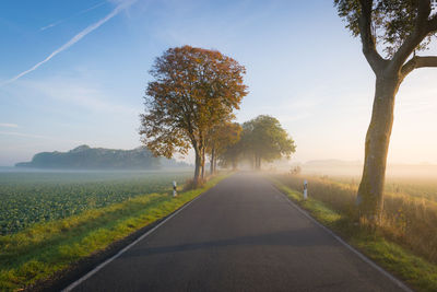 Road amidst trees on field against sky