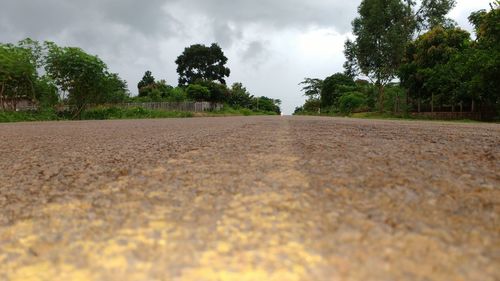 Surface level of road amidst trees on field against sky