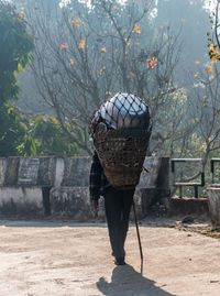 Rear view of man carrying basket while walking on field