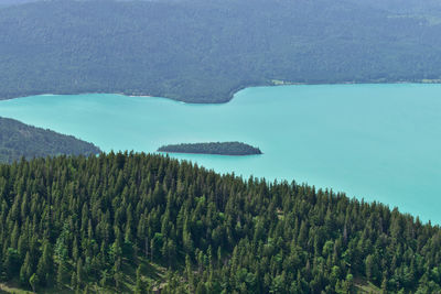 High angle view of trees by sea
