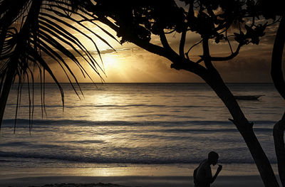 Silhouette of people looking at sea during sunset