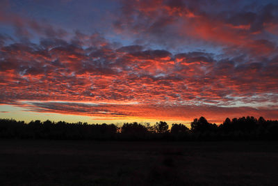 Silhouette trees on field against dramatic sky during sunset