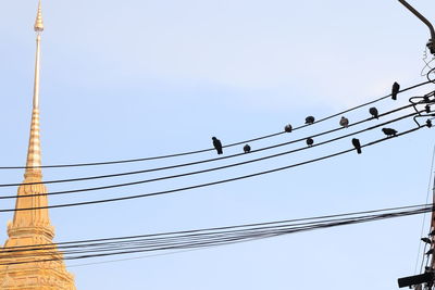 Low angle view of birds perching on cable