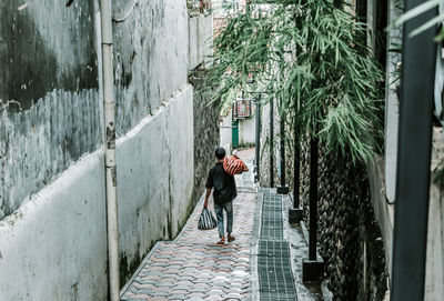 Rear view of woman walking on footpath amidst plants