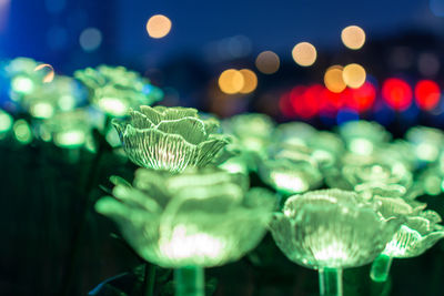 Close-up of illuminated multi colored lights