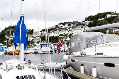 Boats in harbor