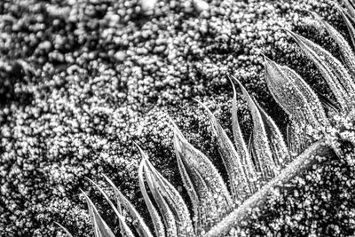 Full frame shot of sand