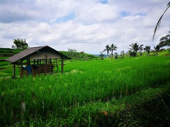 Scenic view of grassy field against cloudy sky