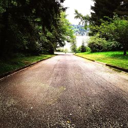 Empty road along trees