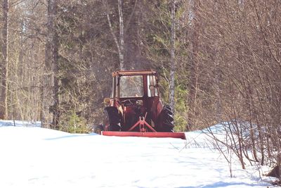 People sitting on snow covered field against trees in forest