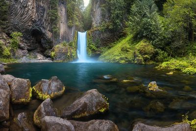 Scenic view of waterfall in forest