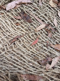 Full frame shot of sand