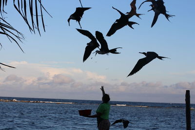 Person flying kite in sea