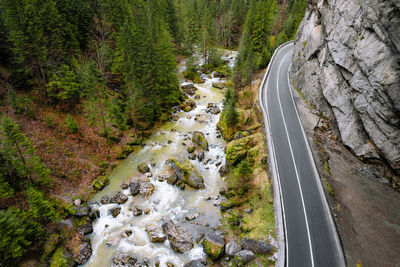 High angle view of road amidst trees