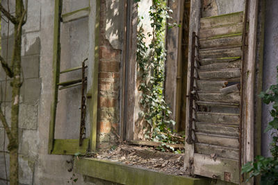 Closed door of house