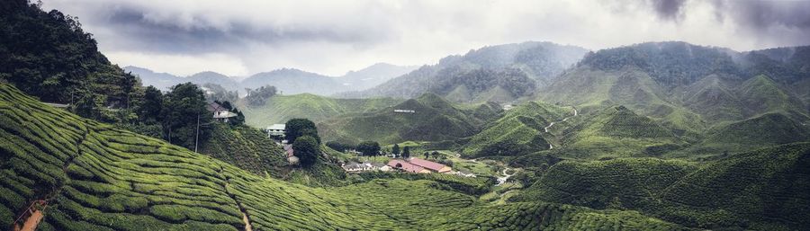 Panoramic view of agricultural landscape against sky