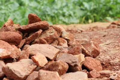 Close-up of stones on rock