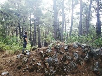 Man standing by tree in forest