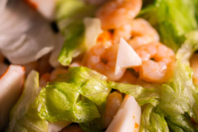 Close-up of salad in plate