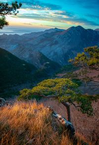 Scenic view of landscape against sky during autumn