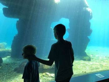 Rear view of women in aquarium