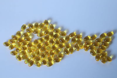 Low angle view of berries against blue background