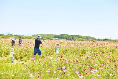 Rear view of man working on field against clear sky