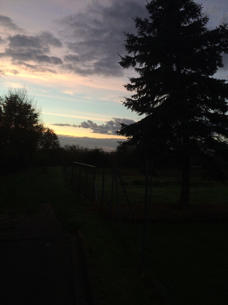 tree, silhouette, sky, sunset, tranquility, tranquil scene, landscape, field, scenics, cloud - sky, beauty in nature, nature, growth, grass, cloud, dusk, idyllic, no people, rural scene, outdoors