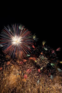 Low angle view of firework display at night