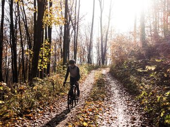 Man walking in forest
