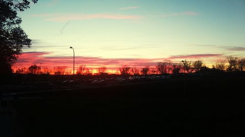 Silhouette trees against sky during sunset