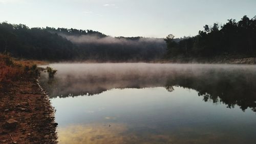 Reflection of trees in calm lake