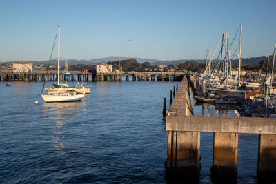 Boats moored in harbor