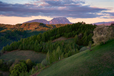 A photo taken during the sunrise in holbav, brasov.