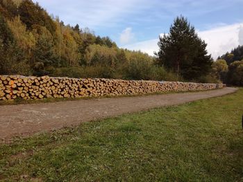 Stack of logs on landscape against sky