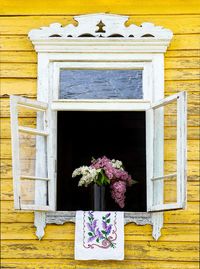 Close-up of potted plant on wooden window of building