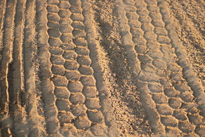 High angle view of tire tracks on snow