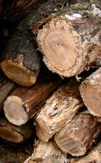 Full frame shot of logs in forest