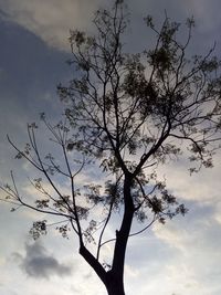 Low angle view of bare tree against cloudy sky