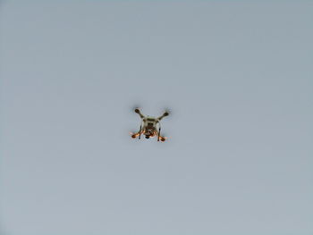 Low angle view of spider against sky