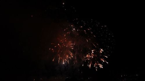 Low angle view of firework display at night