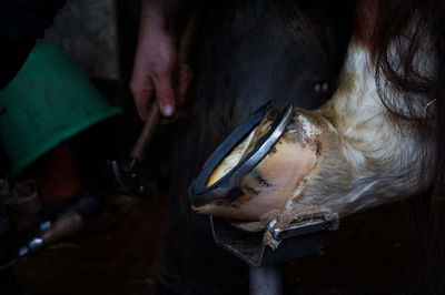 Close-up of man with dog