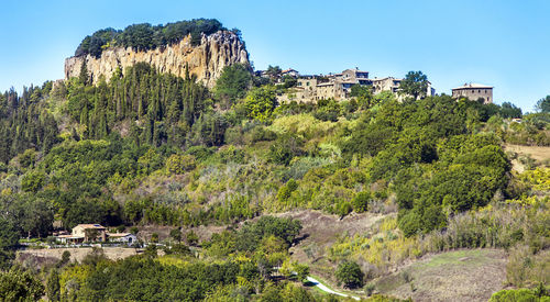 Panoramic shot of trees on landscape against clear sky